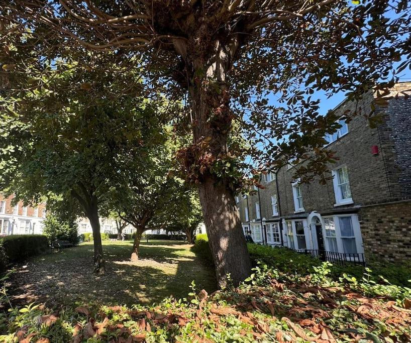 2 Bed Georgian Cottage, Ramsgate Exteriér fotografie